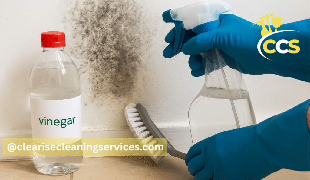 cleaning mold with vinegar
