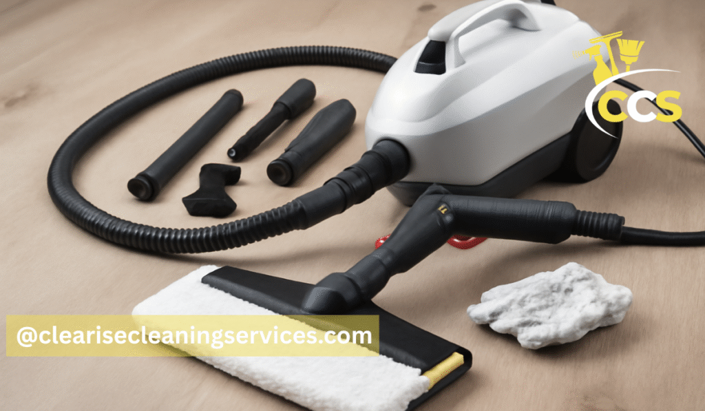 steamer for cleaning