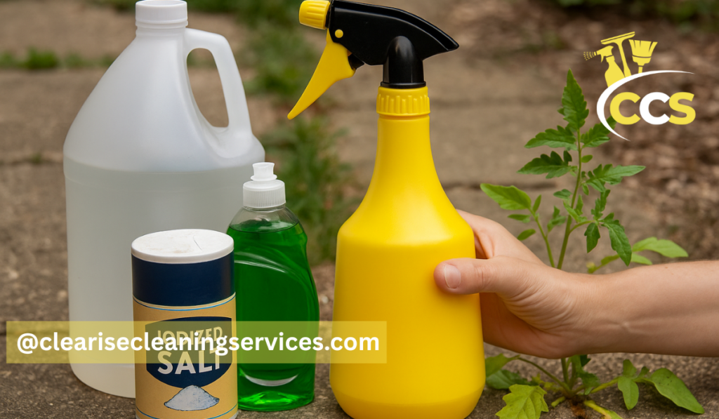 homemade weed killer