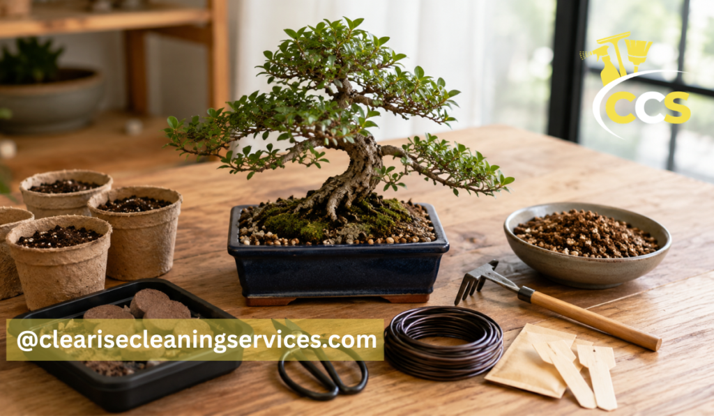 bonsai tree starter kit